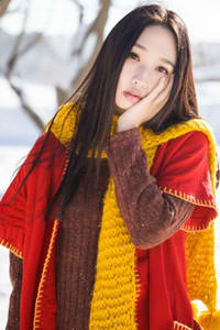 雪中悍刀行 小说